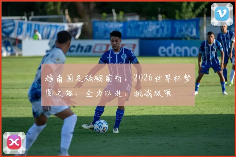 越南国足砥砺前行，2026世界杯梦圆之路，全力以赴，挑战极限