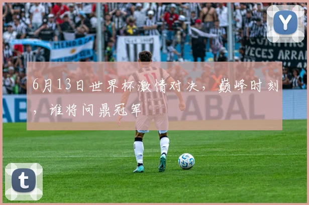 6月13日世界杯激情对决，巅峰时刻，谁将问鼎冠军