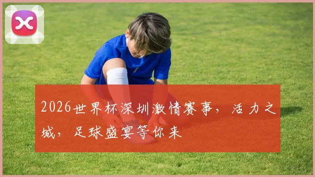 2026世界杯深圳激情赛事，活力之城，足球盛宴等你来