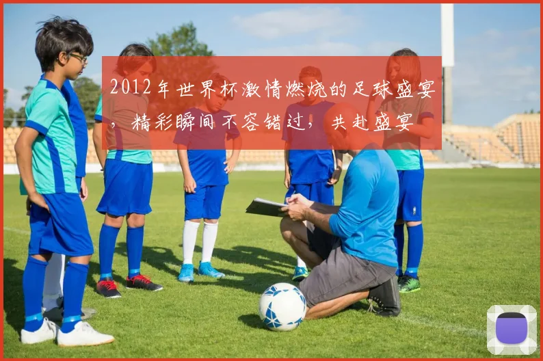 2012年世界杯激情燃烧的足球盛宴，精彩瞬间不容错过，共赴盛宴